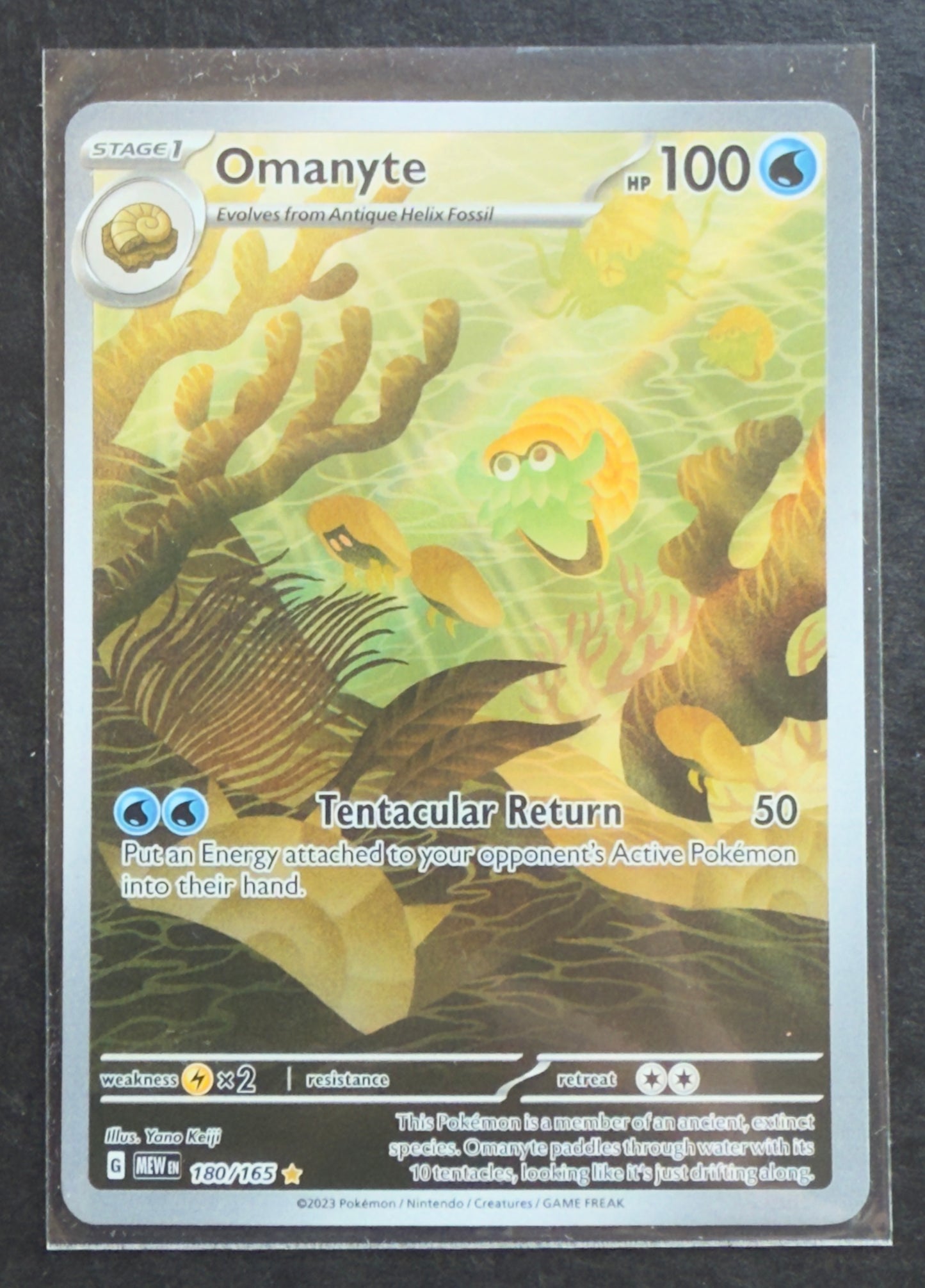 Omanyte